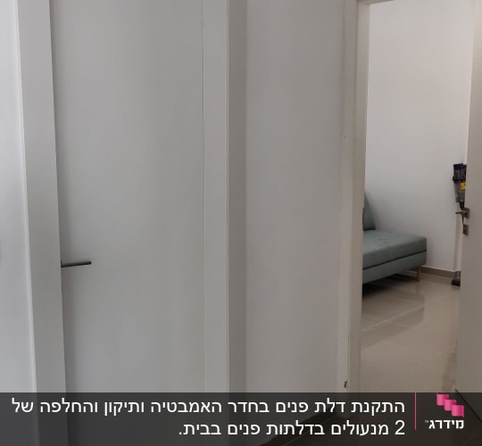 דלתות לבנות עם ידיות מתכת בחדר פנימי